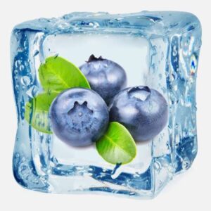 buy blueberyy ice nicotine e-liquid in india at vape store india